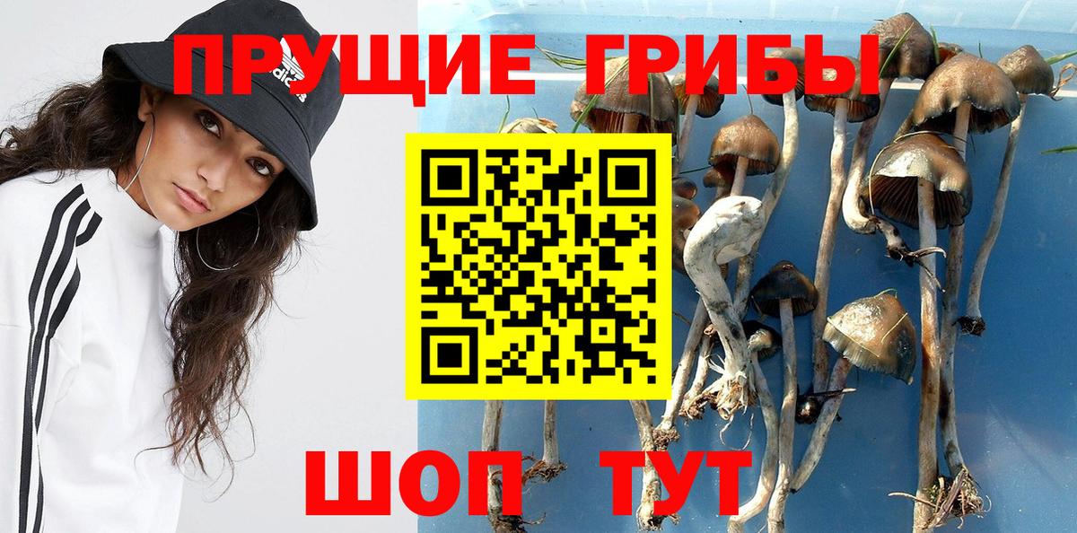 Гусиноозёрск  Галлюциногенные грибы Magic Shrooms  Вход с VPN 